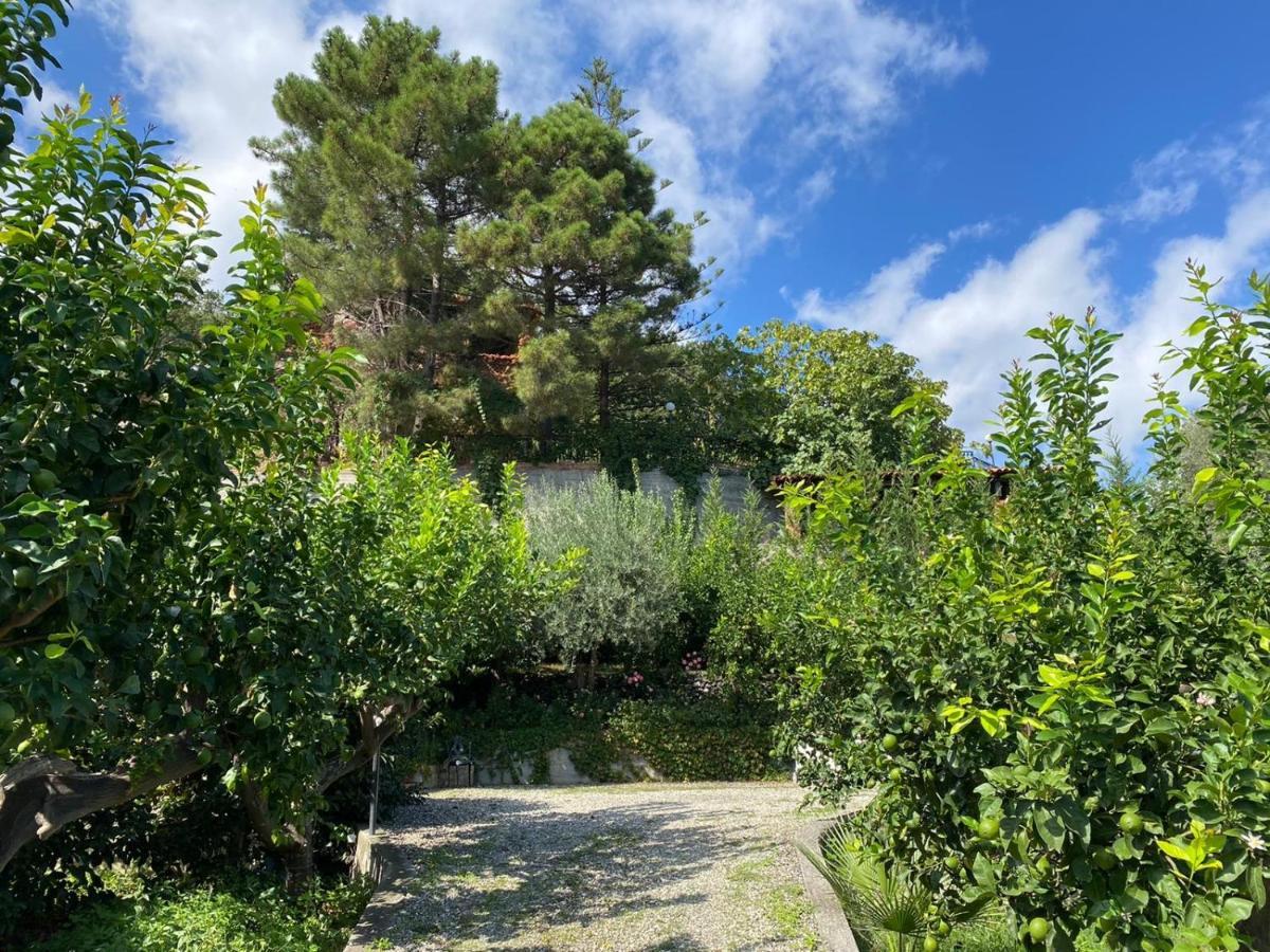 Villa Casa Marietta à Forza dʼAgro Extérieur photo